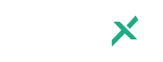 SecFlowX logosu